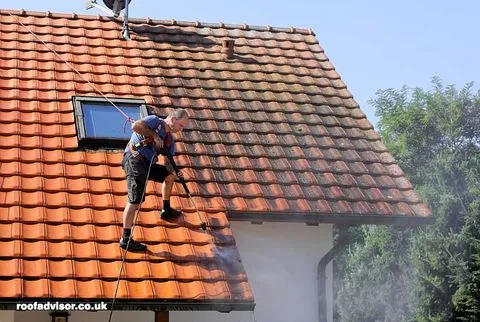 roof cleaning